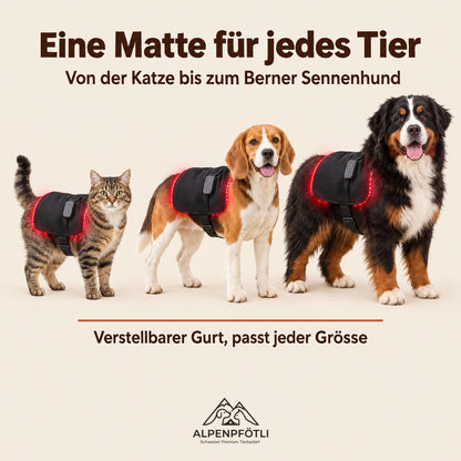 Eine Matte für Katzen und Hunde jeder Grösse