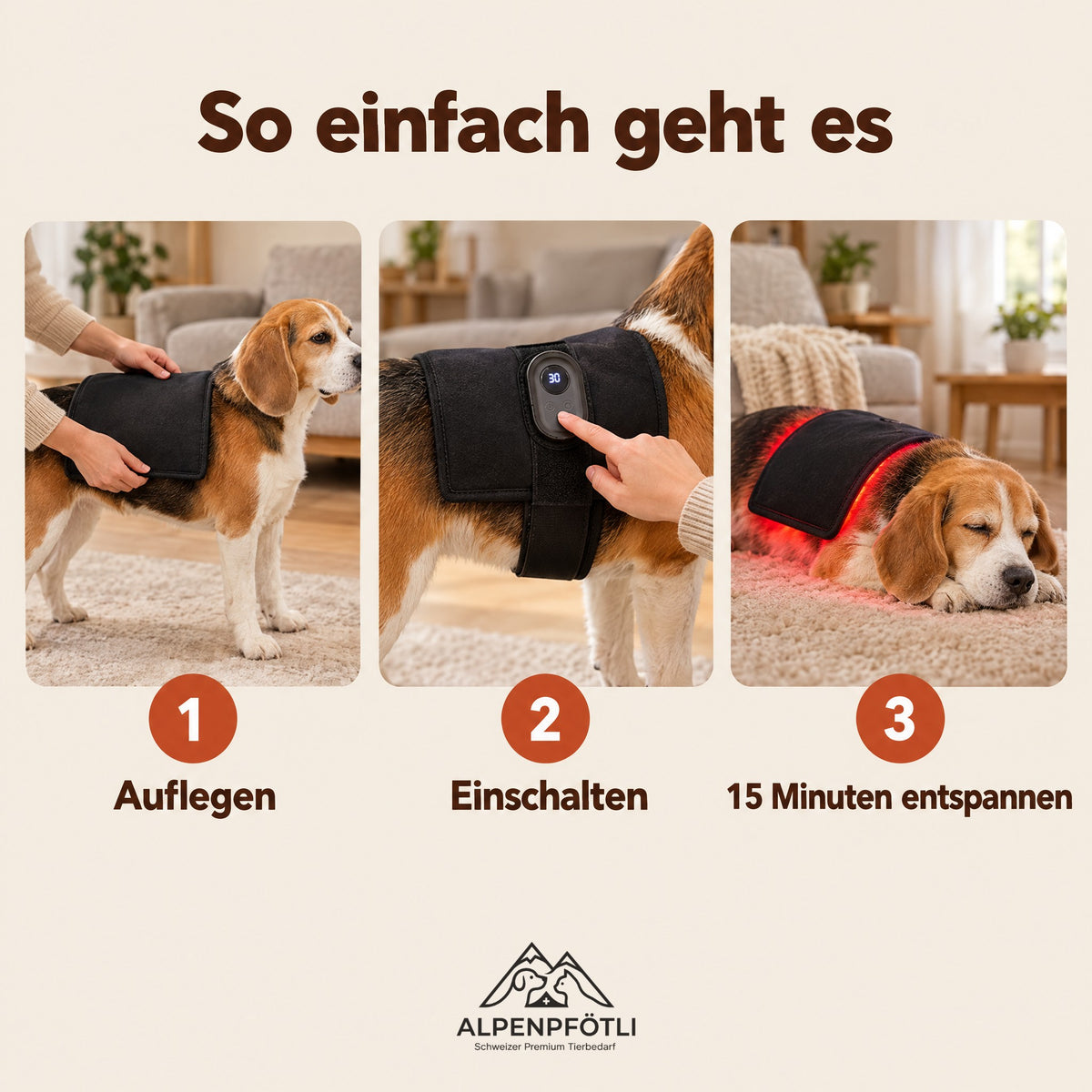 Anwendung in drei Schritten